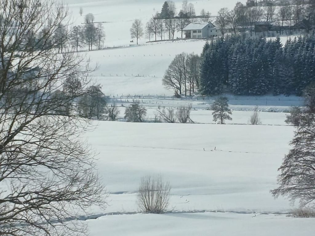 Ausblick aus dem Eßzimmer