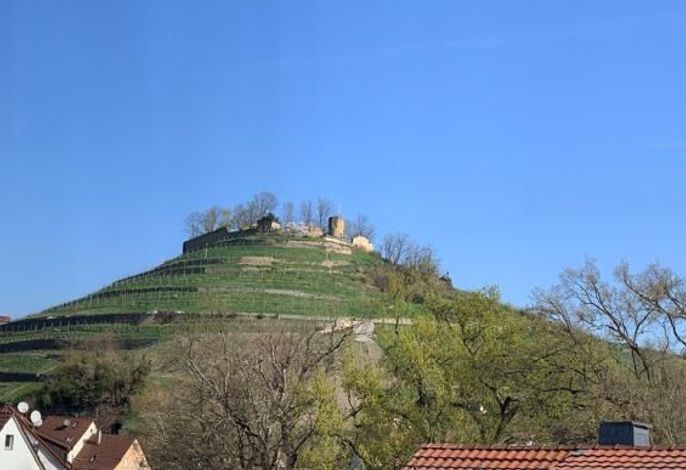 Bild 14