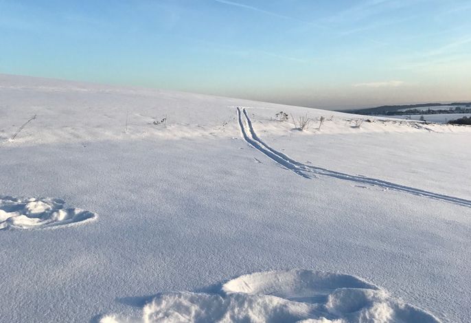 Schön Hier - im Harz