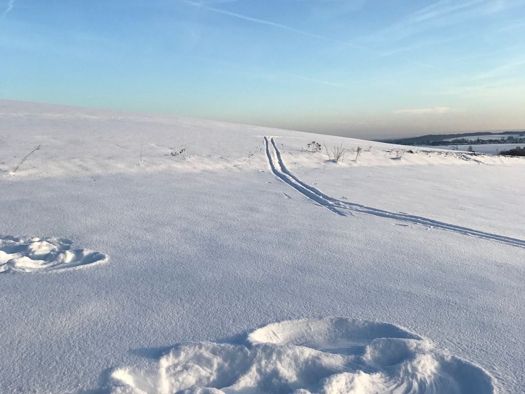 Schön Hier - im Harz