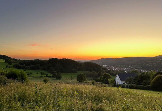 Bild 14