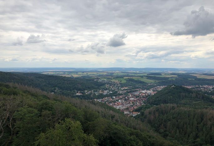 Bild 12