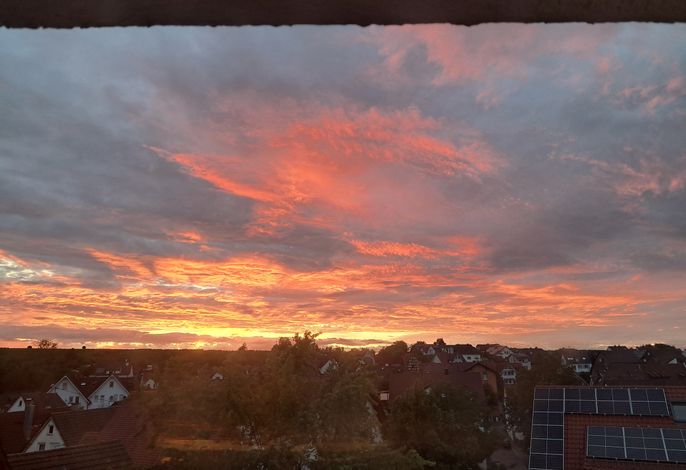 Bild 16
