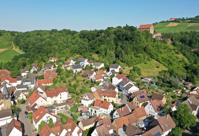Bild 19