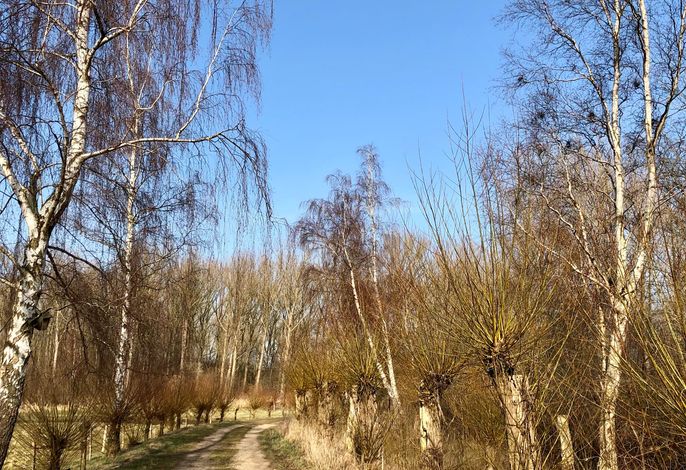 Bild 18