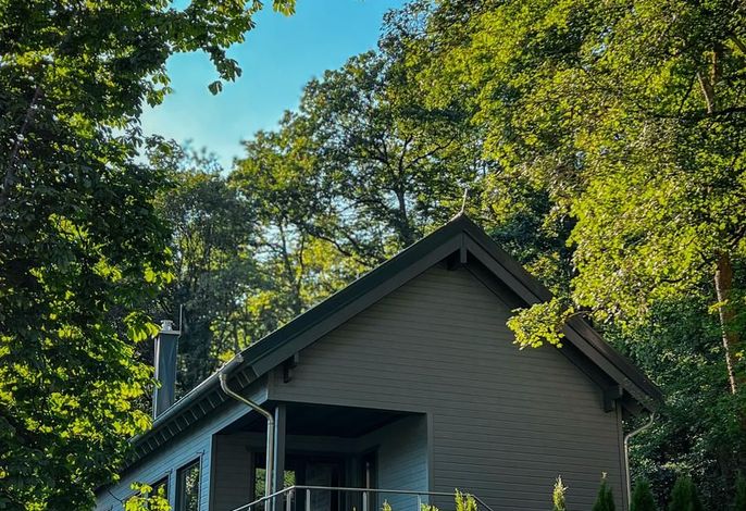 Ferienhaus Hercynia Lodge