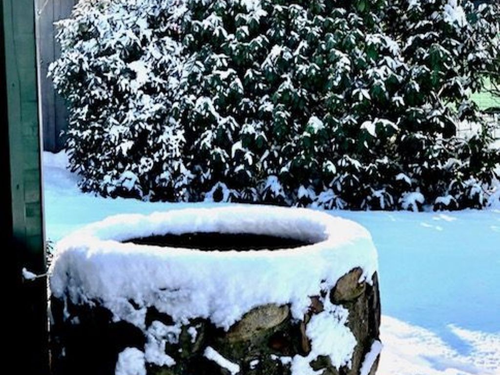 Winterbild - Brunnen