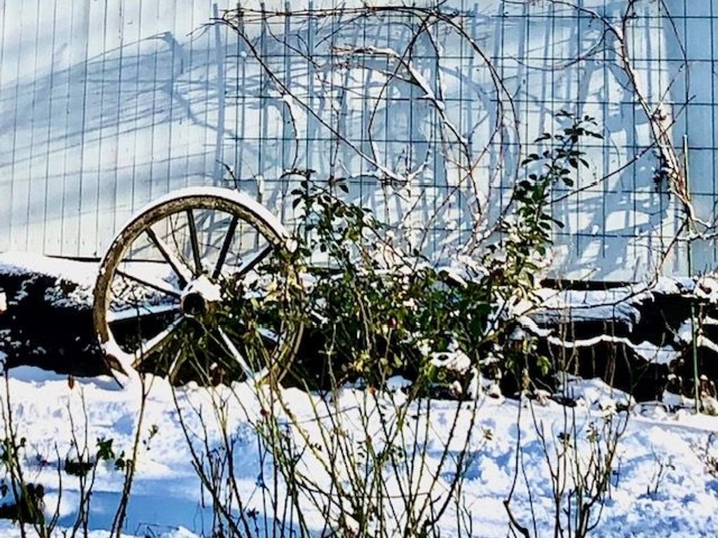 Winterbild - Garten