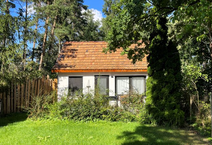 Bild 12