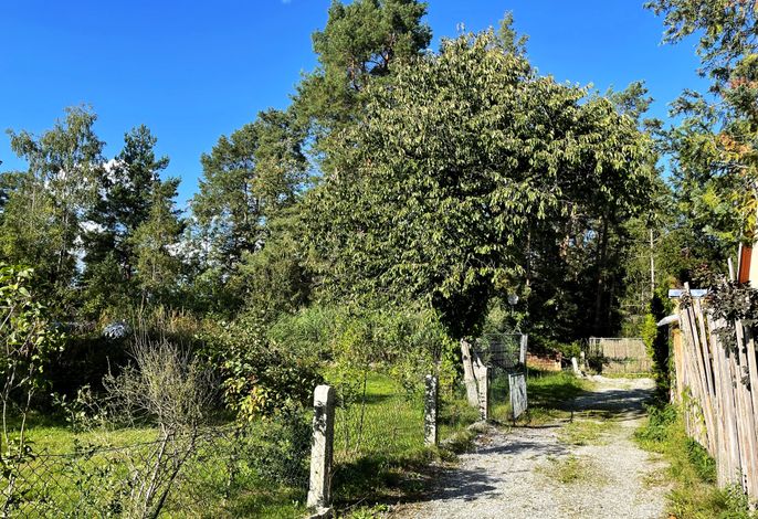 Bild 15