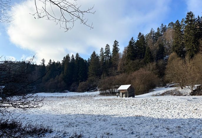 Bild 13