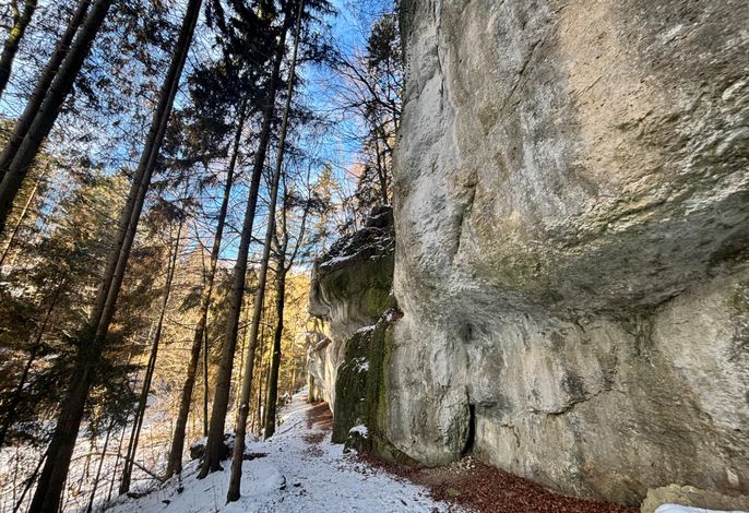 Bild 15