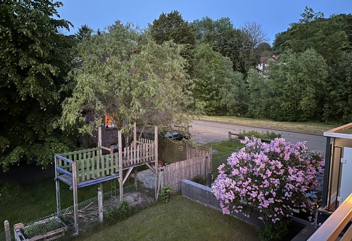Bild 11