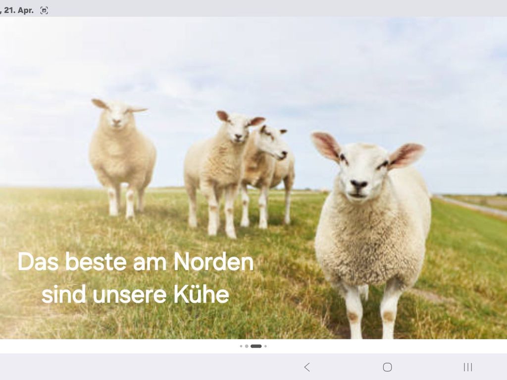 Ferienwohnung Nordlicht