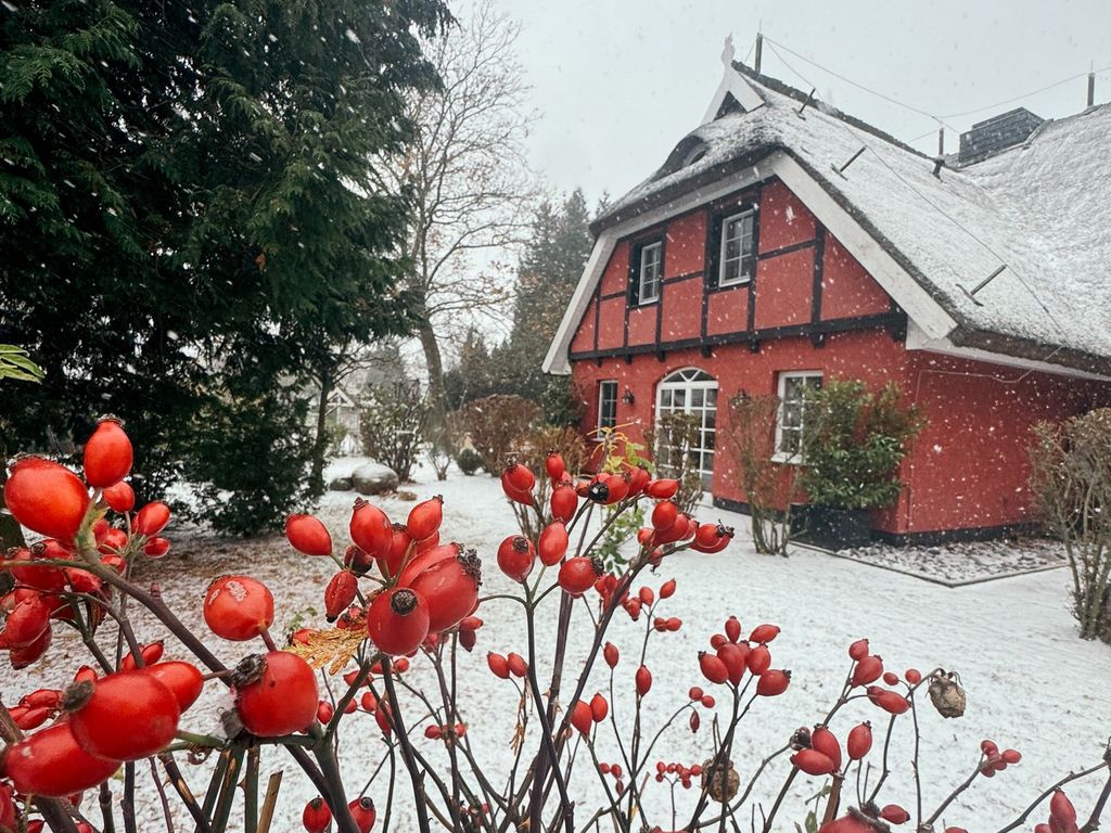 Winteransicht Gartenseite