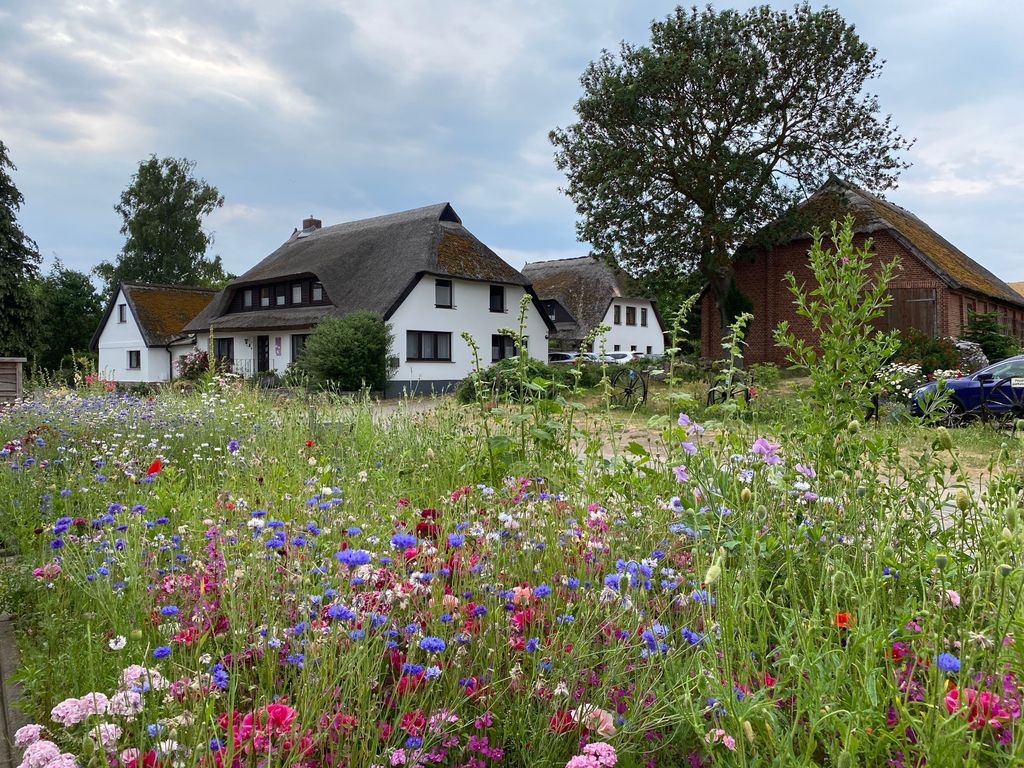 Rügen-Fewo 233 Groß Zicker Ferienhaus