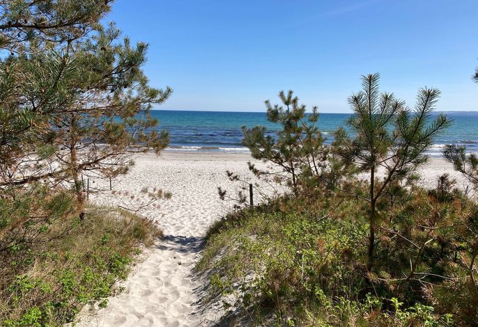 Juliusruh Bungalow am Strand 16 – Foto 1