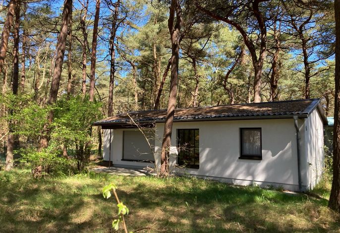 Juliusruh Bungalow am Strand 16