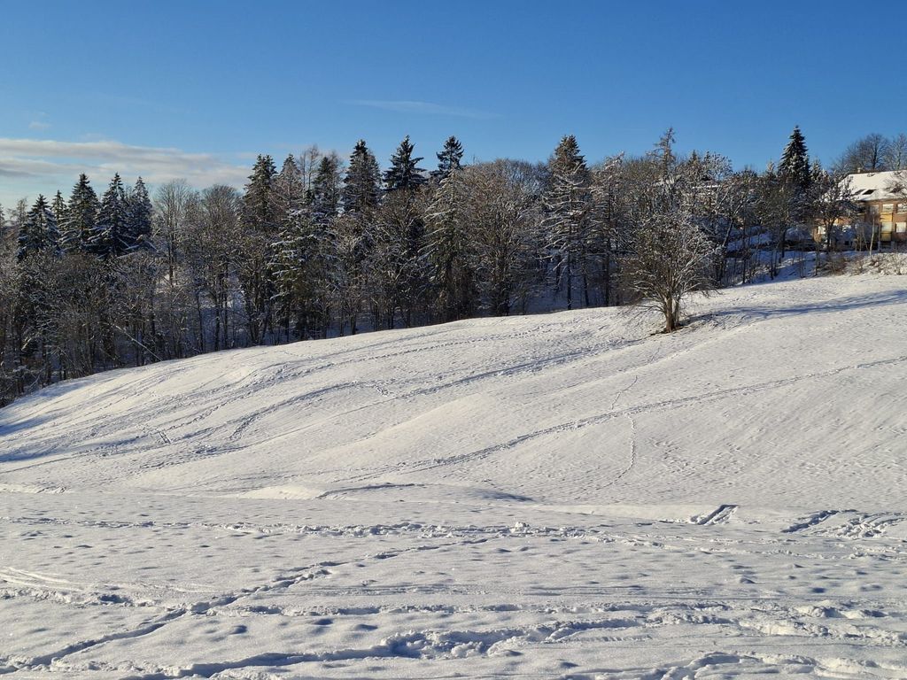 FeWo Harzer Wiesenberg