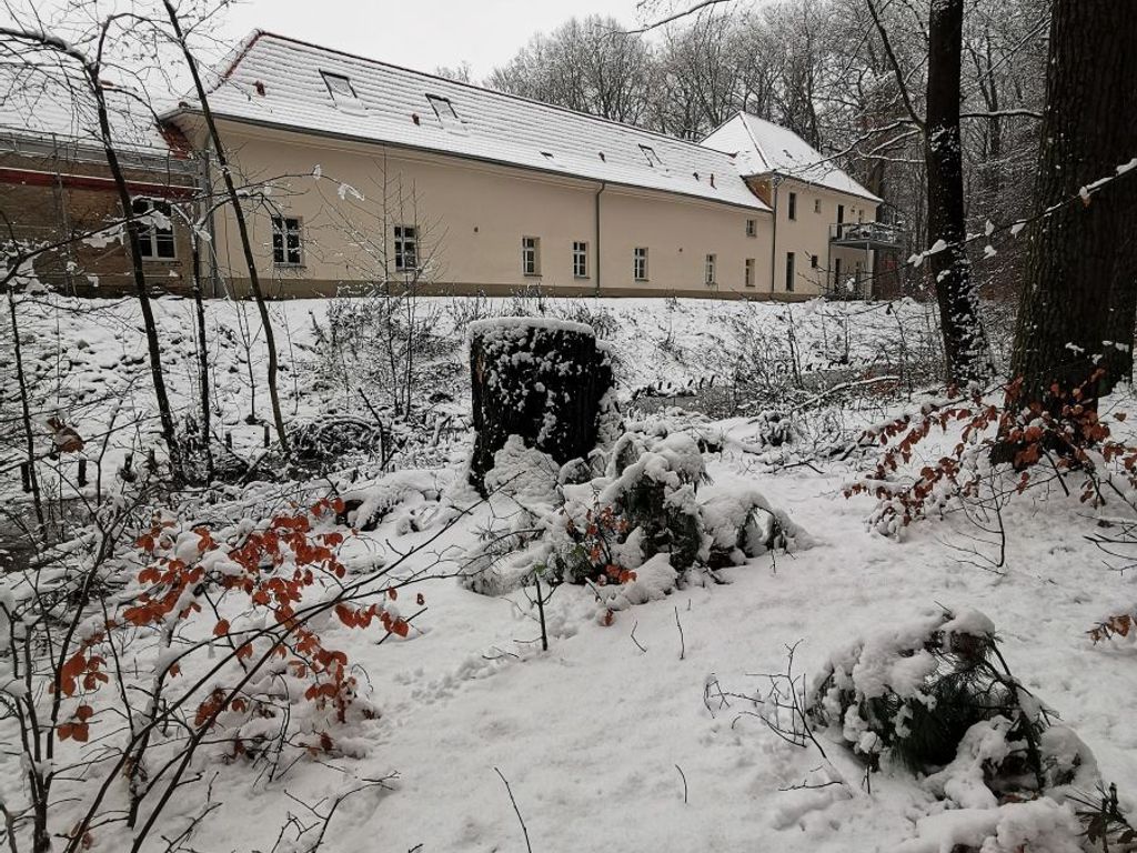 Unser Gästehaus aus dem Wald gesehen