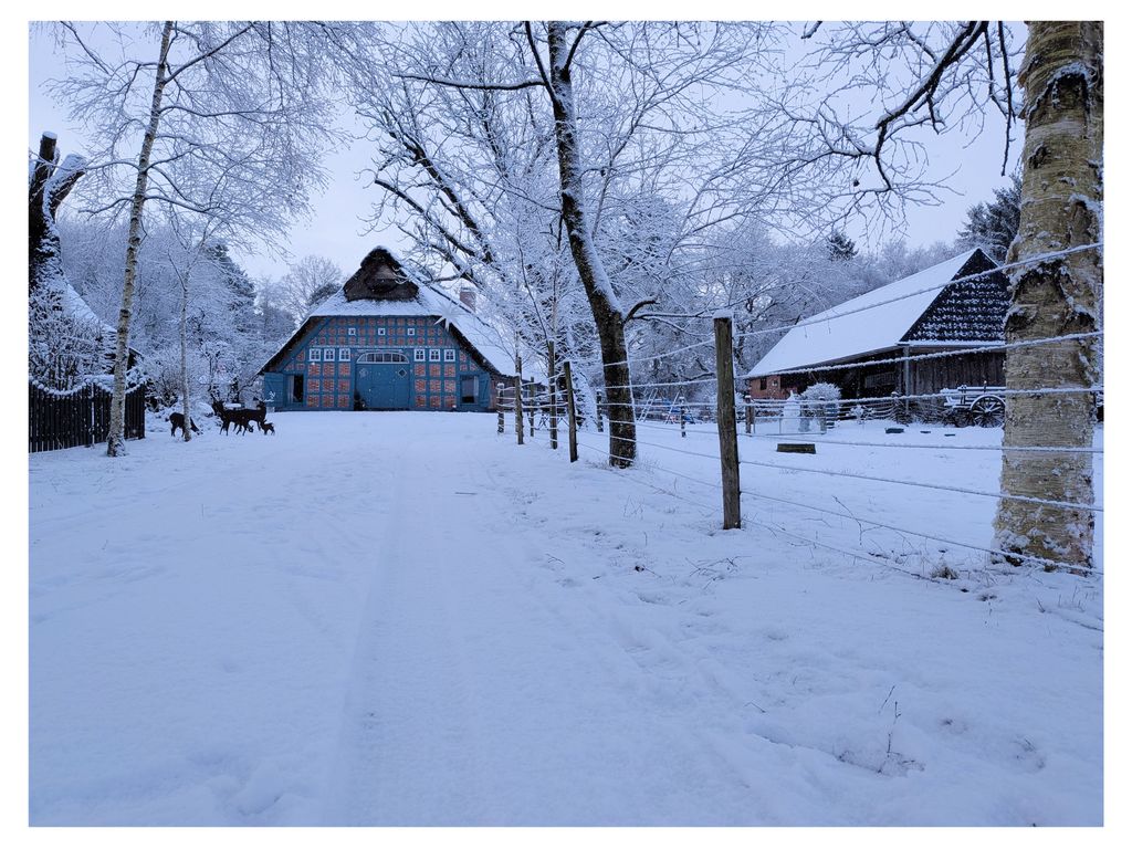 Hofeinfahrt im Winter