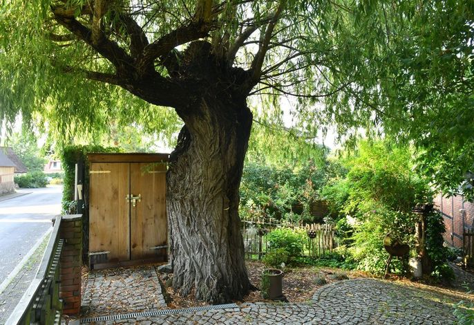 Bild 9
