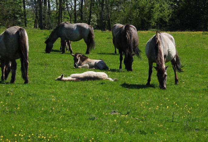 Bild 9