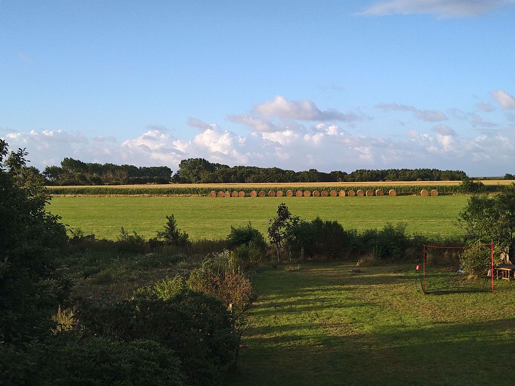 Blick aus dem Fenster im OG