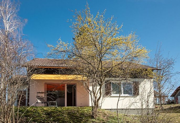 Komfortables Ferienhaus mit Bergblick (HT, F18)