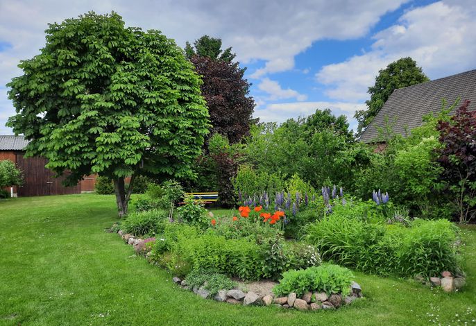 Ferienwohnung im Spreewald - Natur Pur