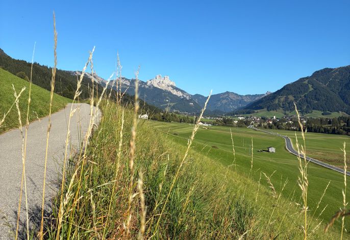 Bild 19
