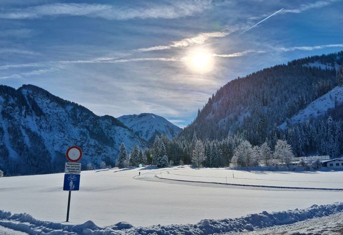 Bild 22