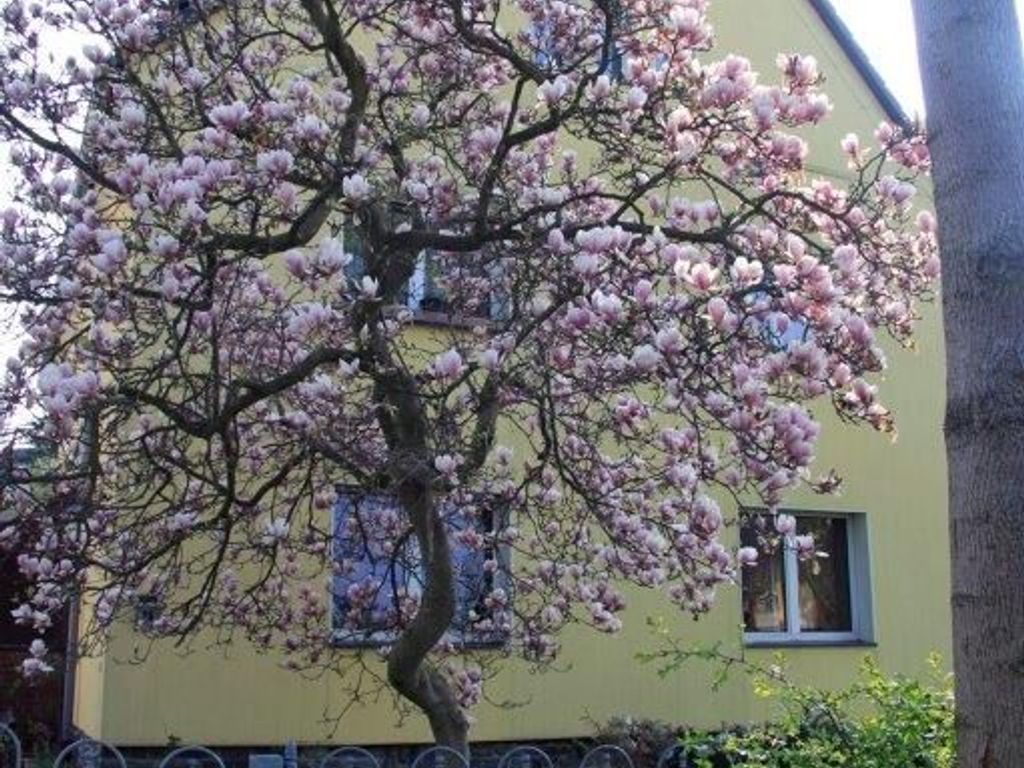 Ferienwohnung in Chemnitz, ruhige Lage