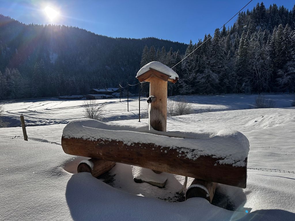 Mitteralm-Kreuth