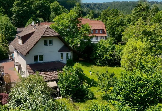 Bild 11