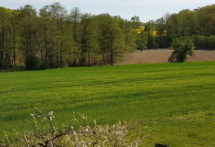 Blick auf den Naturpark