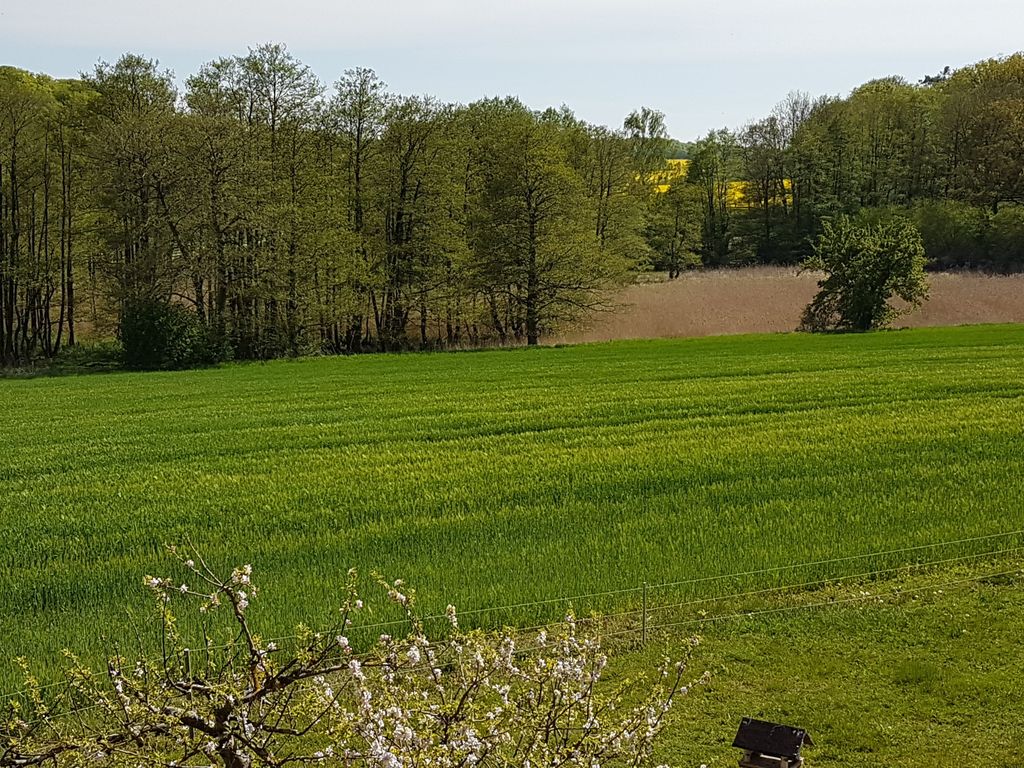 Blick auf den Naturpark