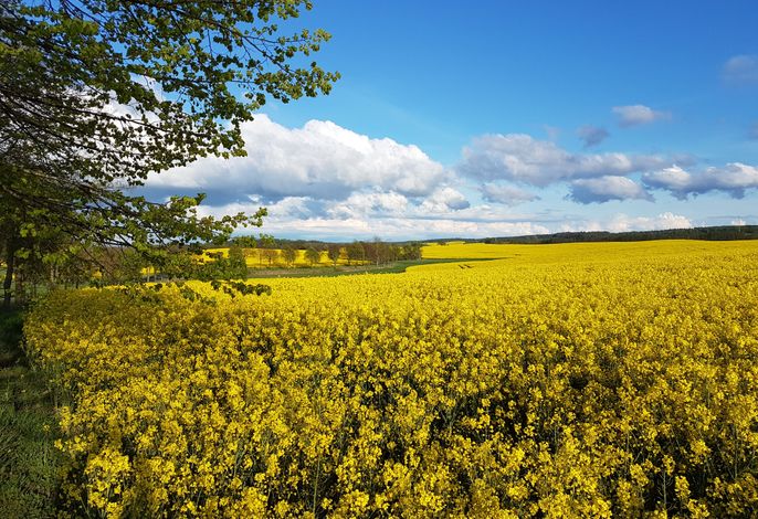 Umgebung im Frühling