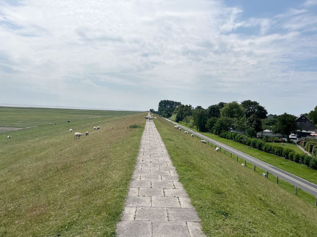 Weg auf dem Deich