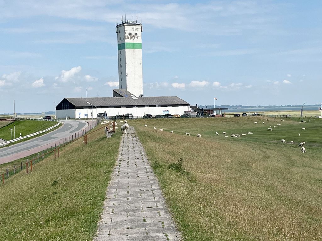 Weg zum Hafen