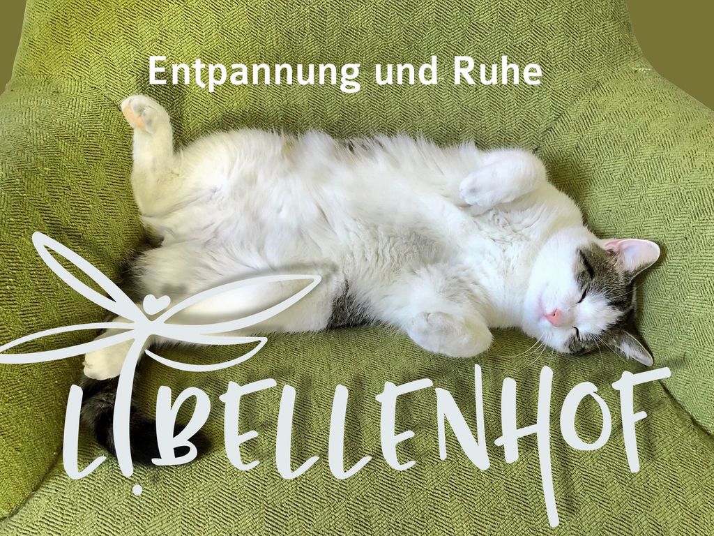 Auszeit genießen und Landluft schnuppern