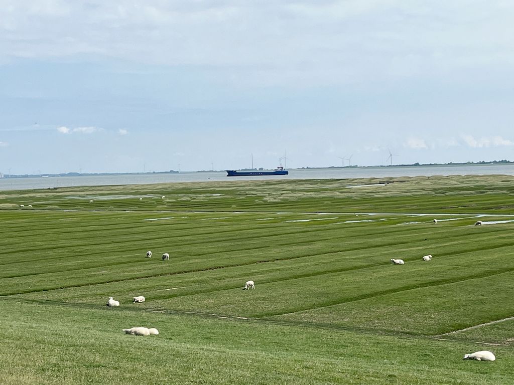 Ausblick auf das Vorland und die Nordsee