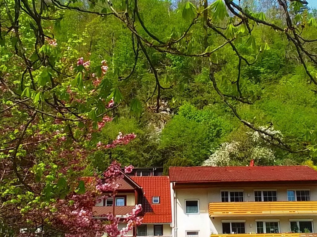 Ferienwohnungen Renate Brandes