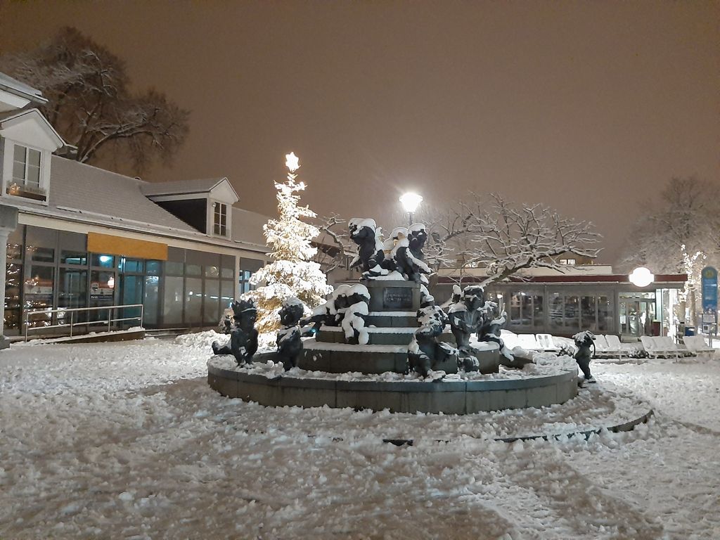 Jungbrunnen im Winter