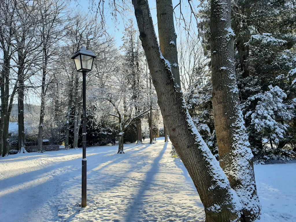 Stadtpark