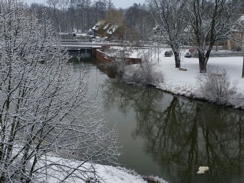 Winter