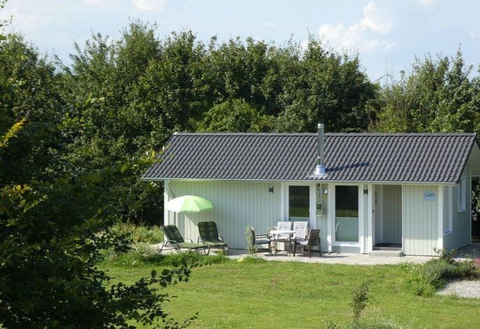 FerienhausLachmöwe