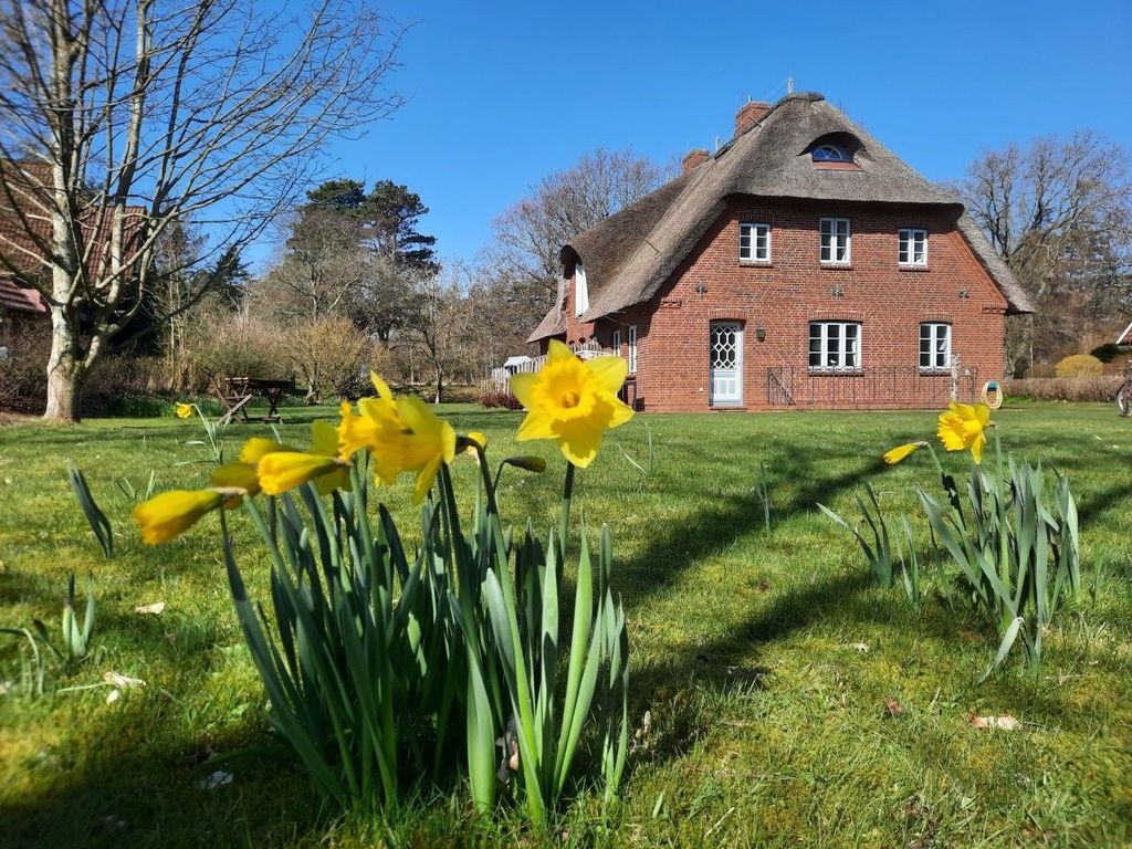 Jüghen Hüs (Ginster-Haus) unter Reet
