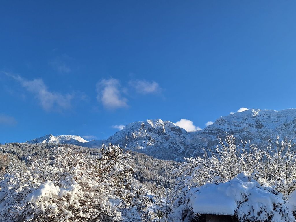 Attersee Panorama Apartments