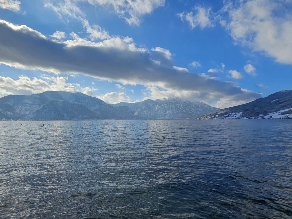 Attersee Panorama Apartments